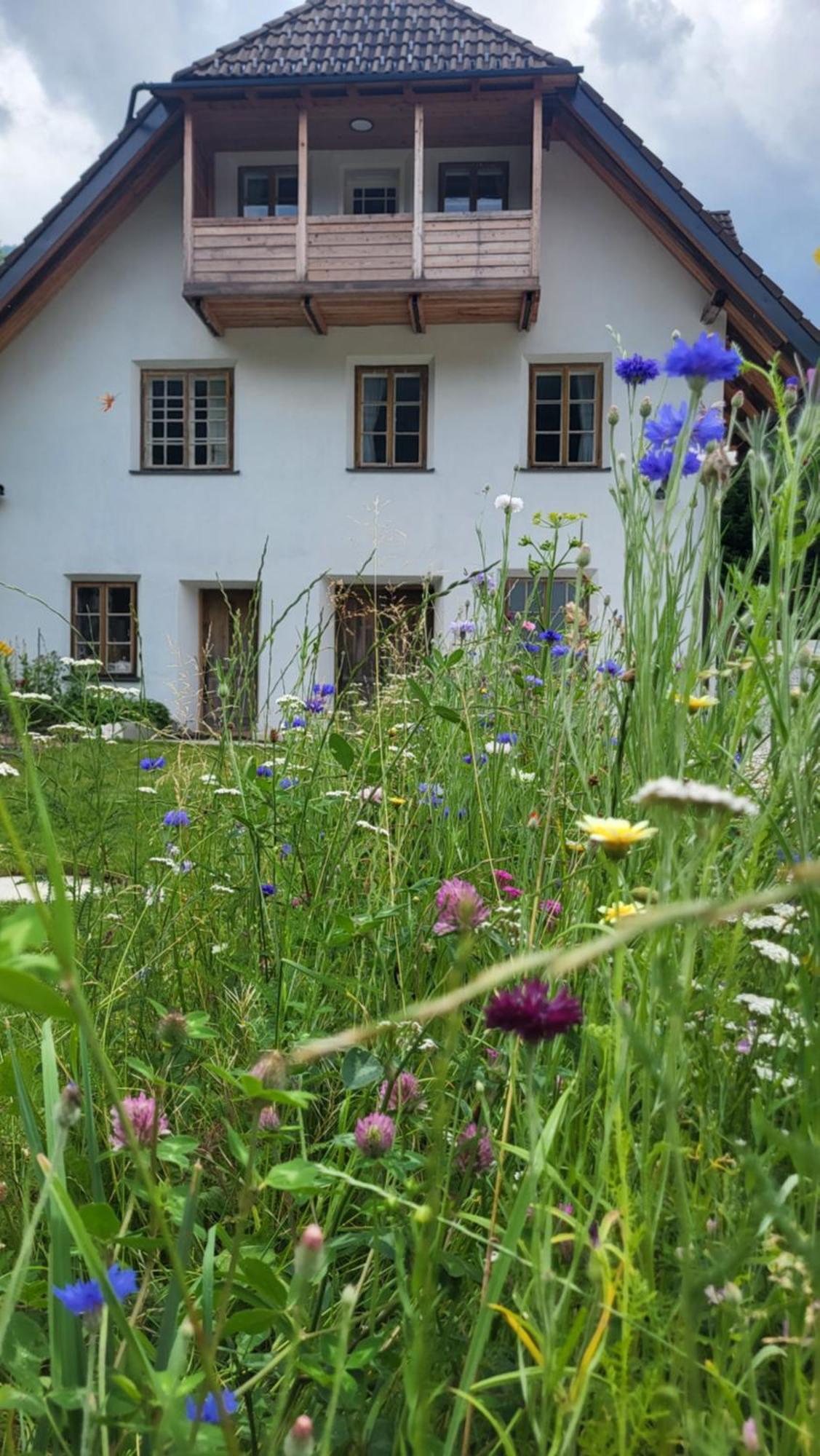 House Leska Apartamento Kranjska Gora Exterior foto